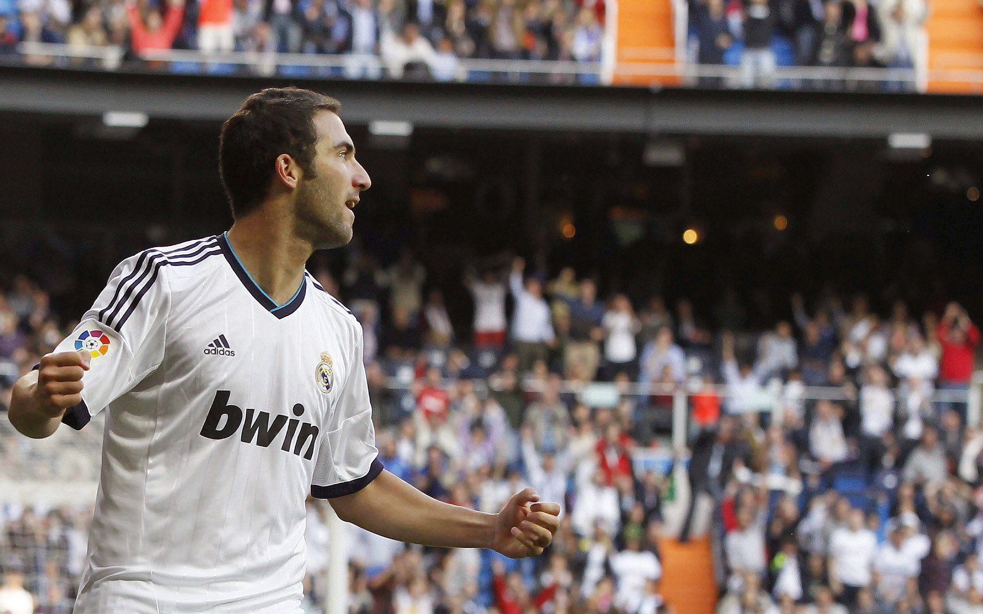 绿色可持续场馆建设持续推进，行业发展迈向绿色新时代，如何利用场馆的绿色设施做好增值服务